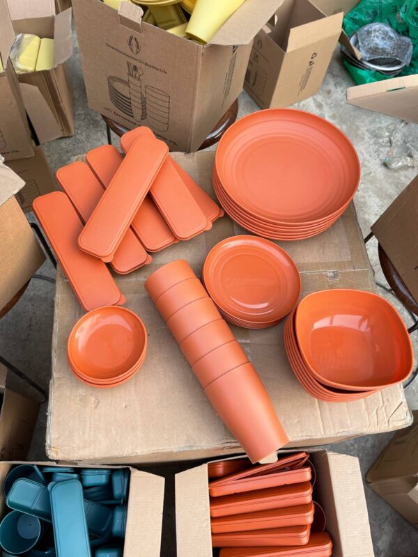 36pcs eco-friendly plates live sample
