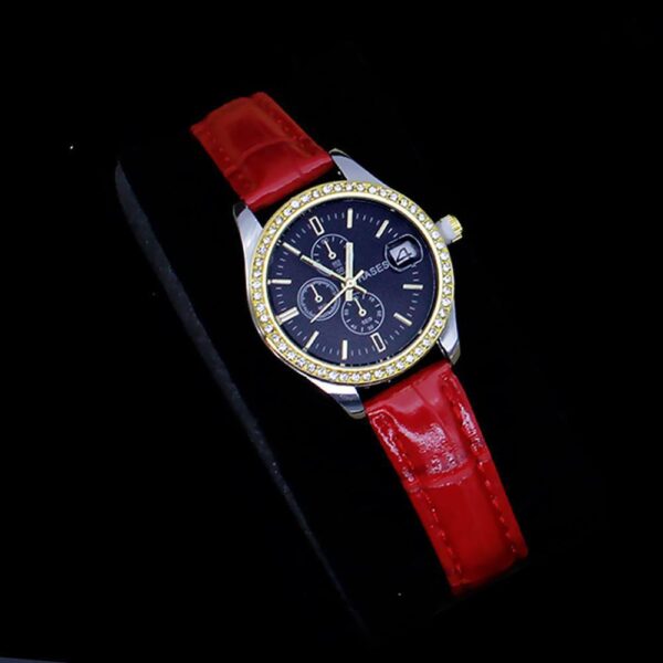 5pcs Hasesg Liuxury Jewelry Set red watch